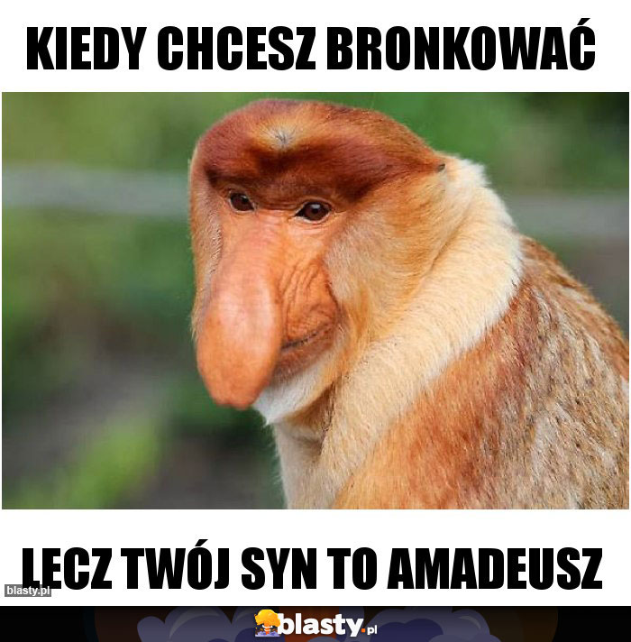 Kiedy chcesz bronkować