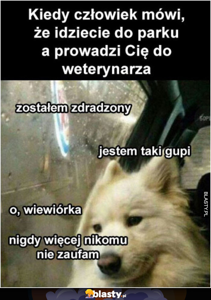 Kiedy człowiek mówi, że idziemy do parku