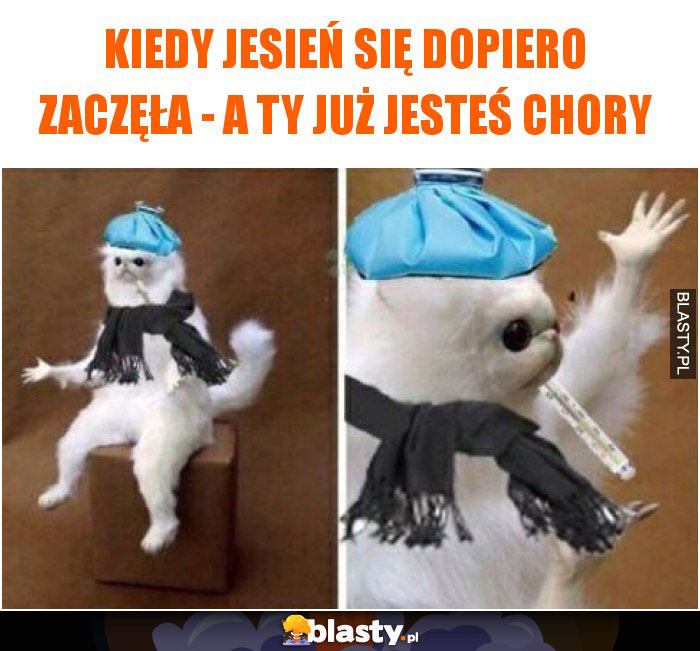 Kiedy jesień się dopiero zaczęła - a Ty już jesteś chory