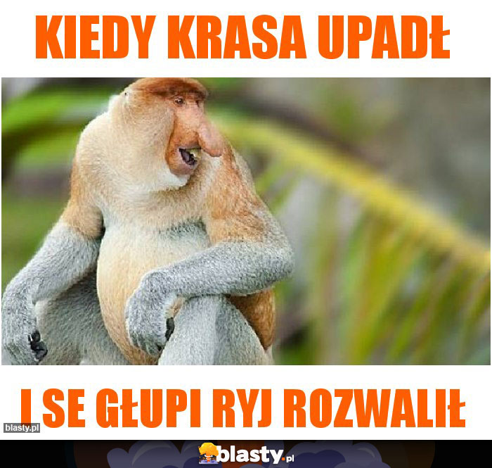 Kiedy krasa upadł