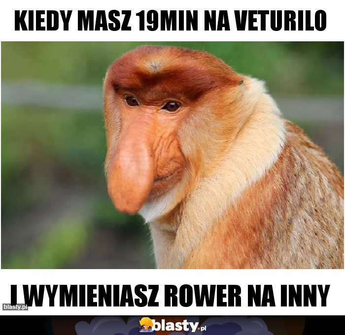 Kiedy masz 19min na Veturilo