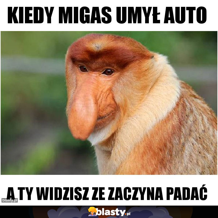 Kiedy Migas umył auto