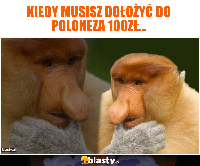 Kiedy musisz dołożyć do Poloneza 100zł...