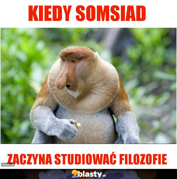 Kiedy somsiad