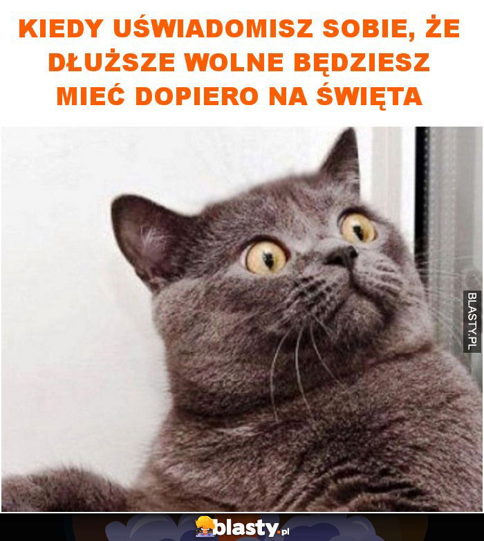 Kiedy uświadomisz sobie, że dłuższe wolne będziesz mieć dopiero na święta