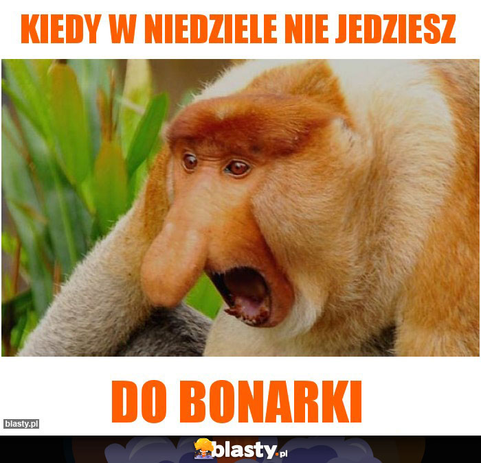 KIEDY W NIEDZIELE NIE JEDZIESZ