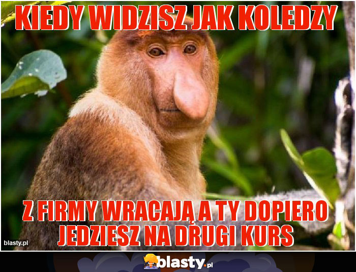 Kiedy widzisz jak koledzy
