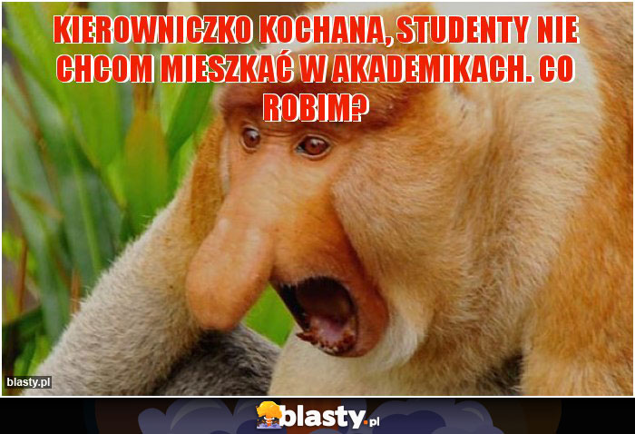 Kierowniczko kochana, studenty nie chcom mieszkać w akademikach. Co robim?