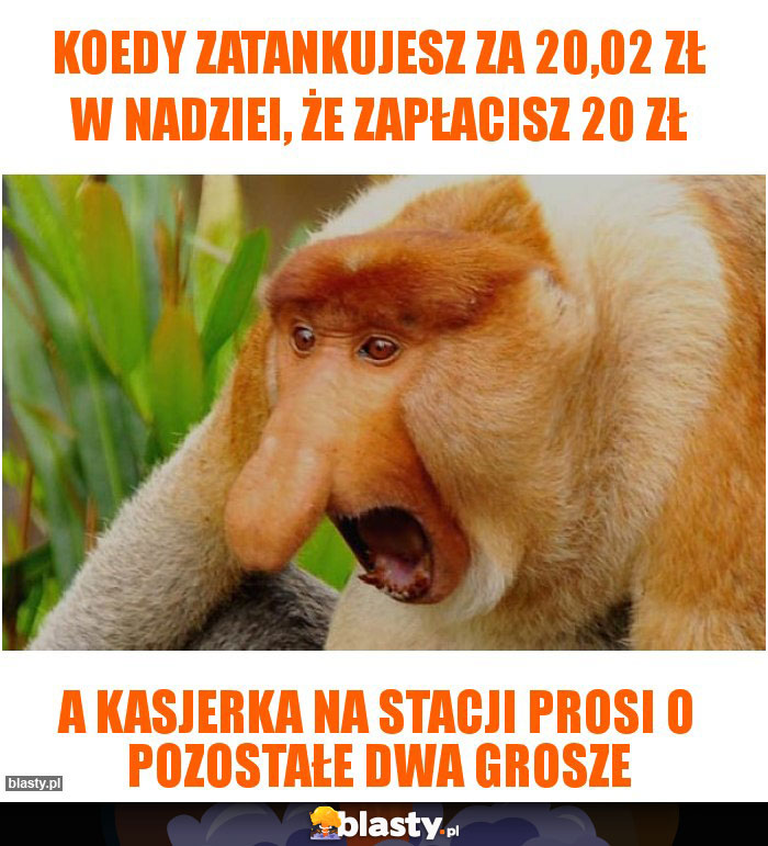 Koedy zatankujesz za 20,02 zł w nadziei, że zapłacisz 20 zł