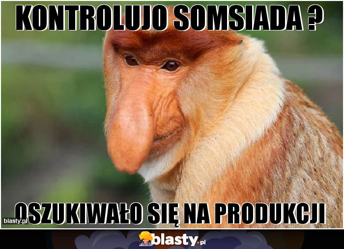 kontrolujo somsiada ?