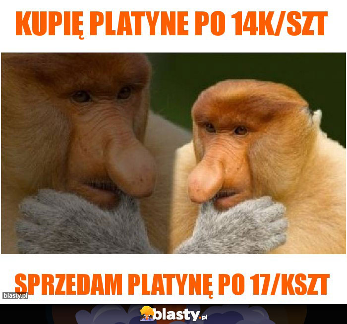 Kupię platyne po 14k/szt