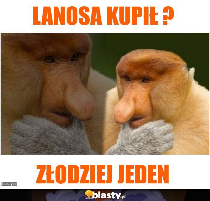 Lanosa kupił ?