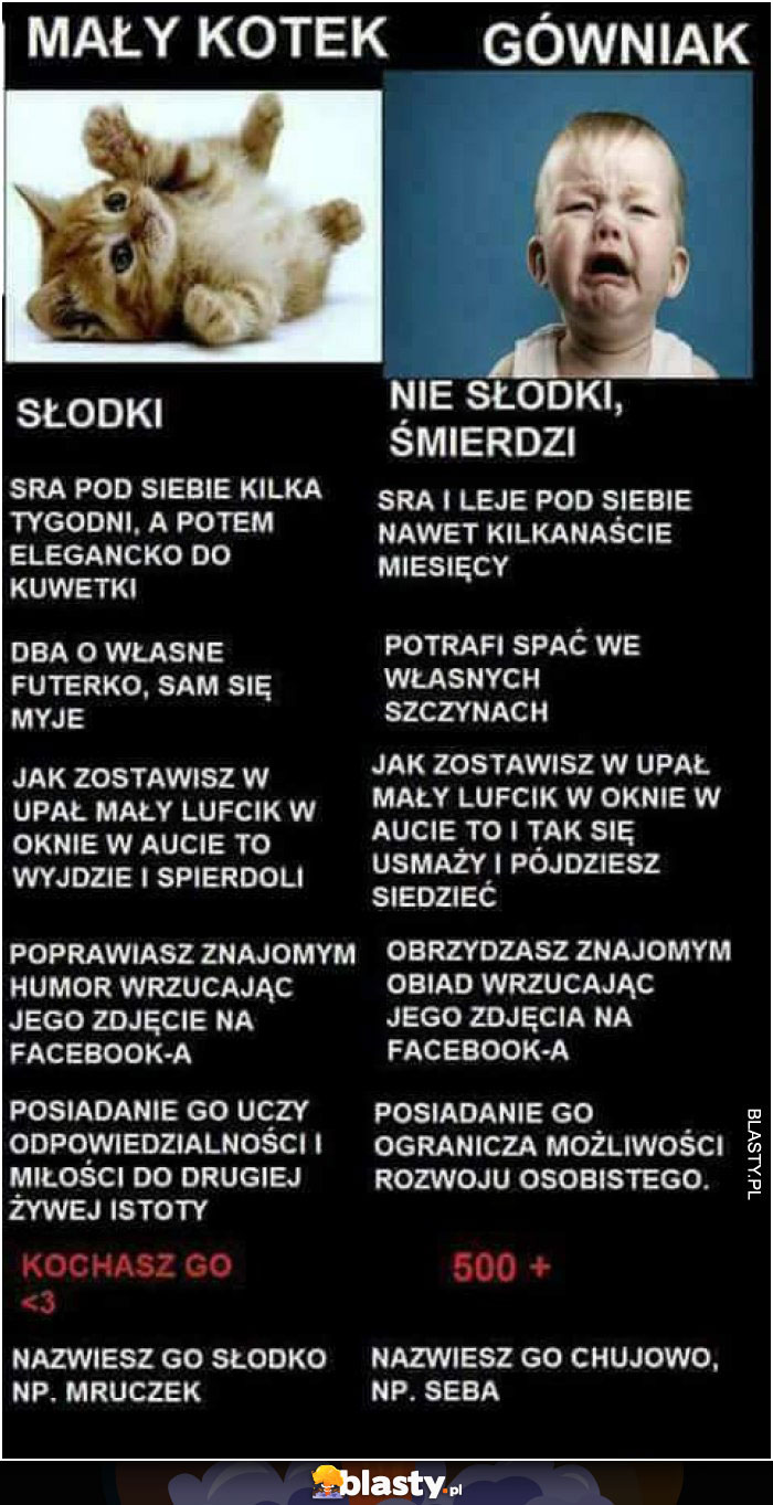 Mały kotek vs gówniak