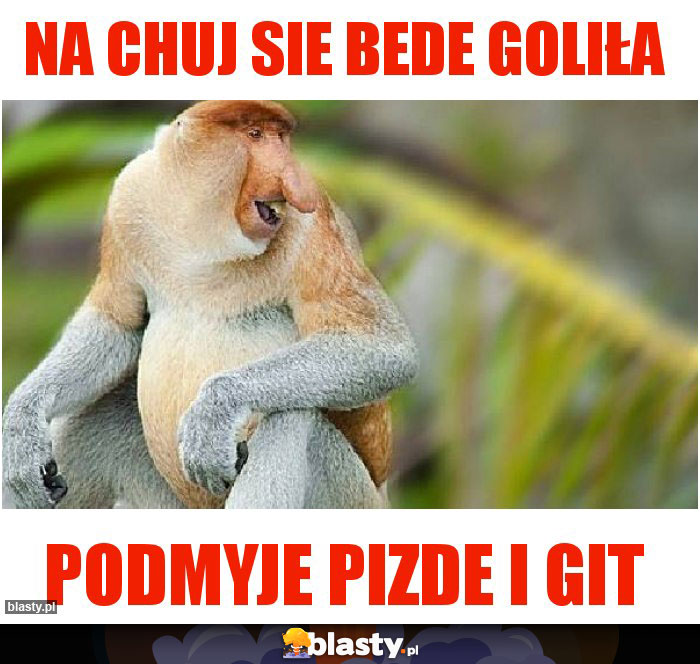 NA CHUJ SIE BEDE GOLIła
