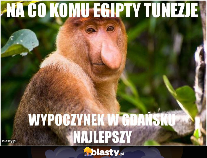 NA CO KOMU EGIPTY TUNEZJE