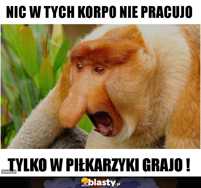 Nic w tych korpo nie pracujo