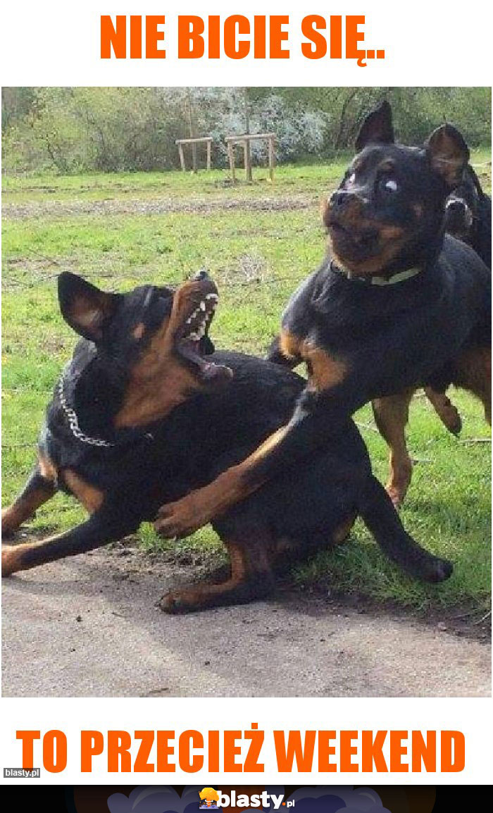 Nie Bicie się..