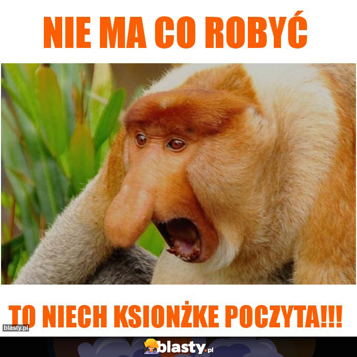 Nie ma co robyć