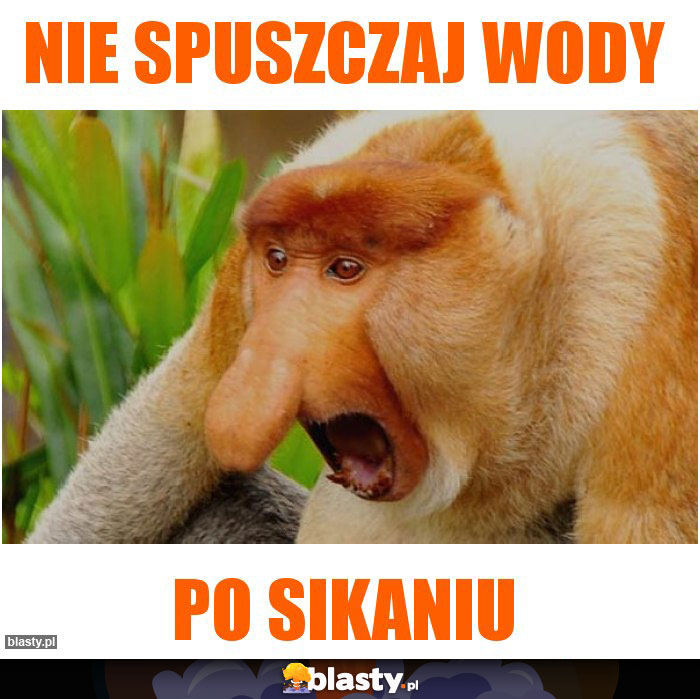 Nie spuszczaj wody