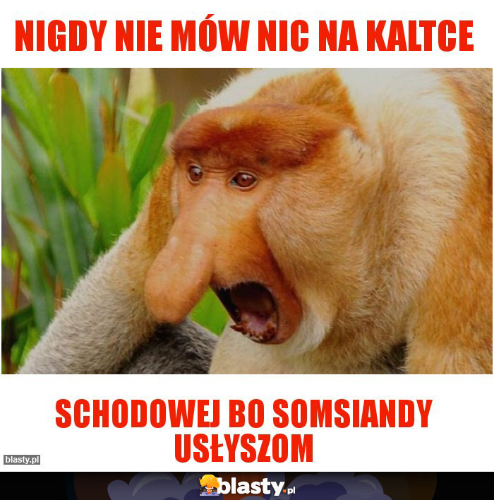 Nigdy nie mów nic na kaltce