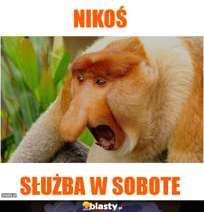 Nikoś