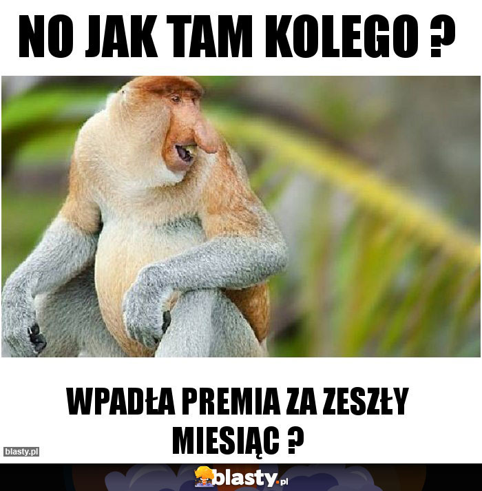 no jak tam kolego ?