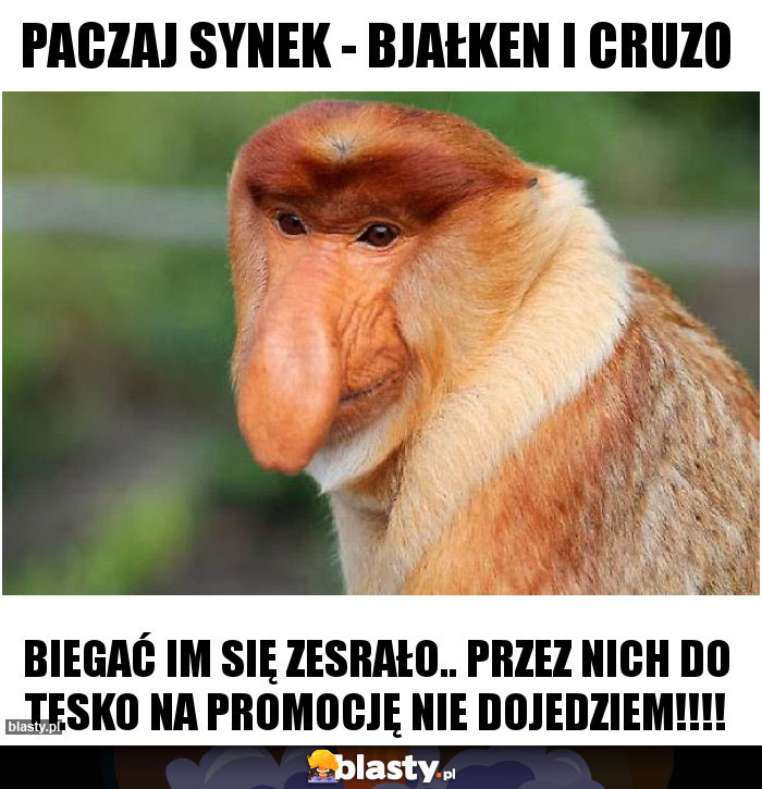 Paczaj synek - Bjałken i Cruzo