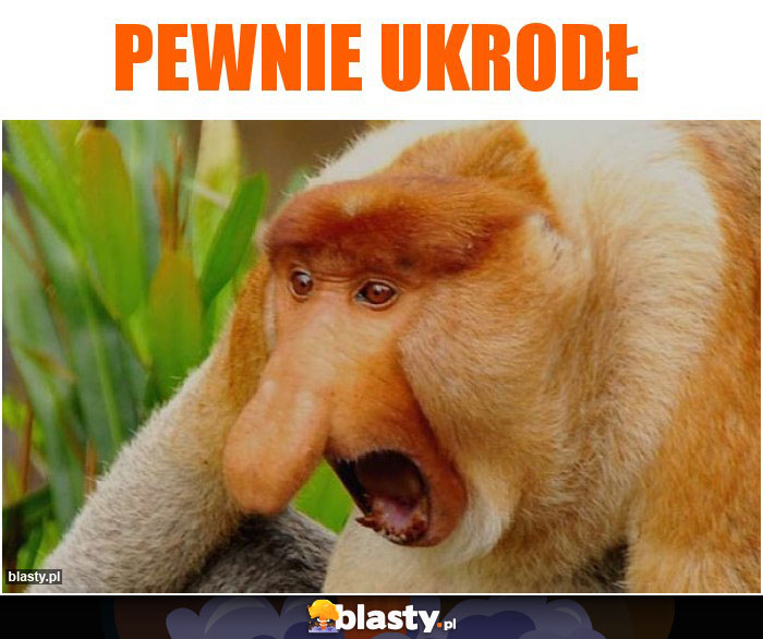 PEWNIE UKRODŁ