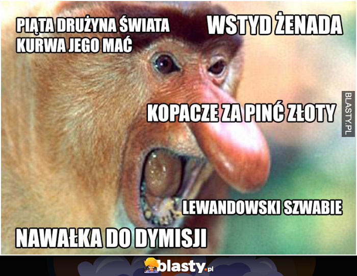 Piąta drużyna świata