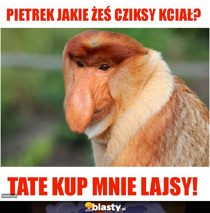 Pietrek jakie żeś cziksy kciał?