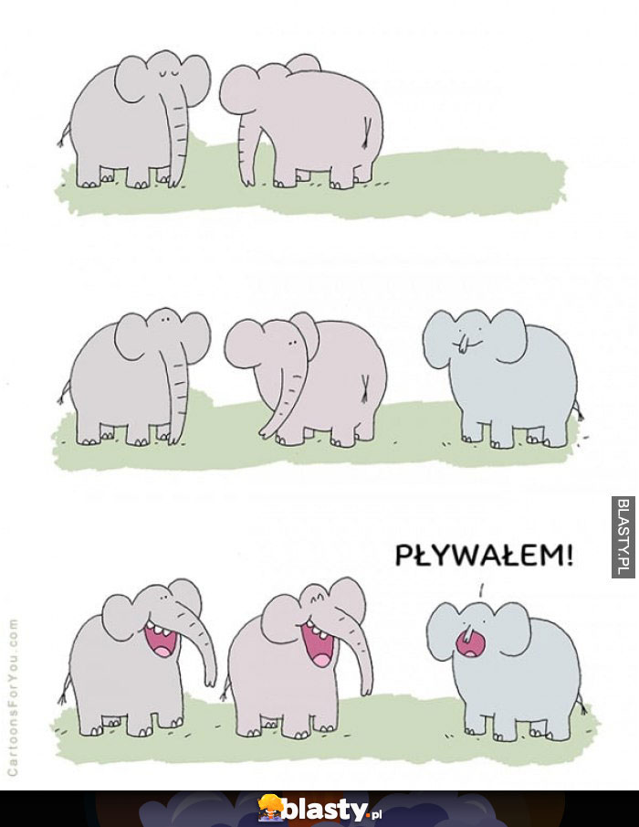 Pływałem