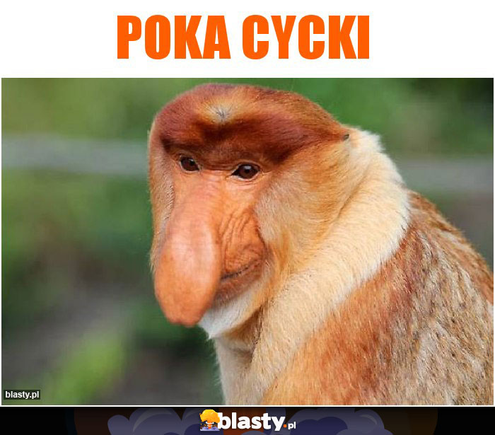 Poka cycki