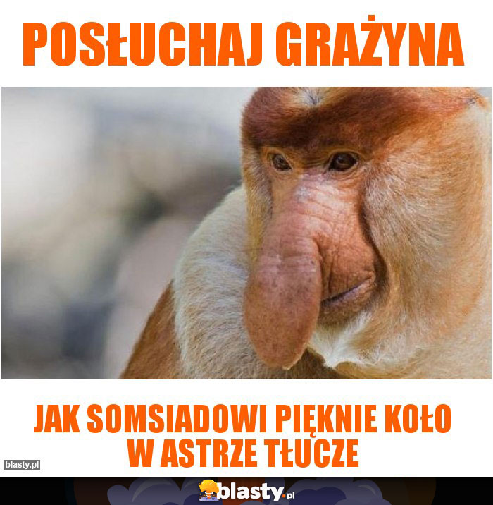 Posłuchaj grażyna