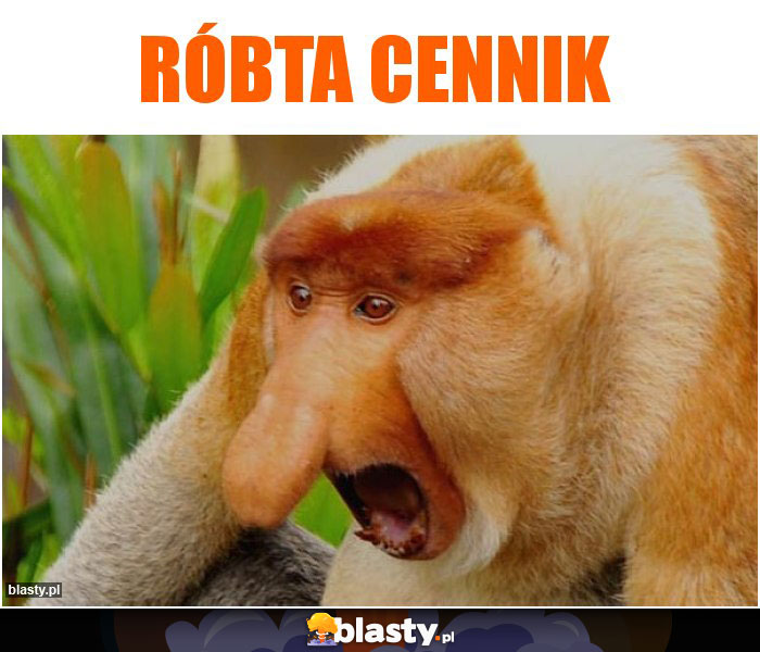 Róbta cennik