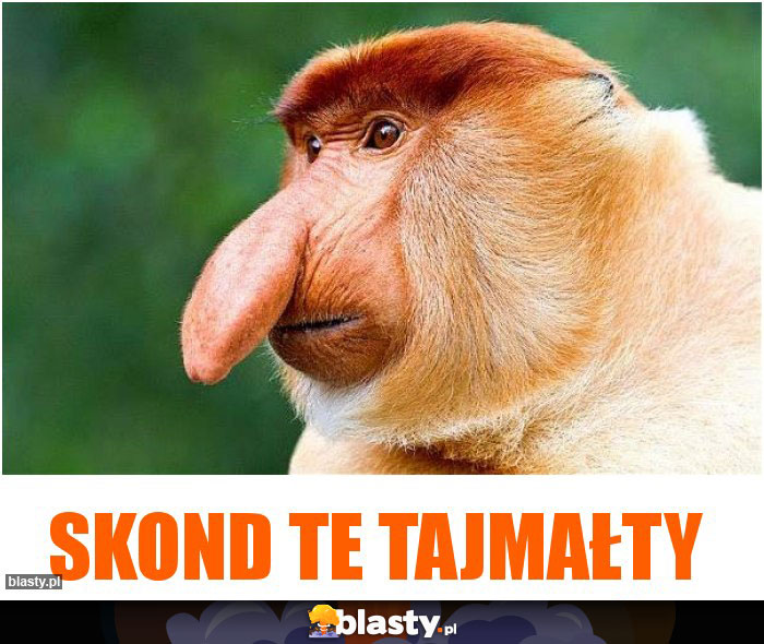 skond te tajmałty
