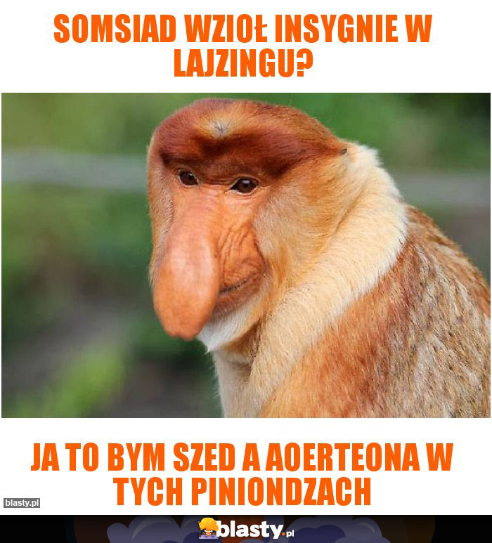 SOMSIAD WZIOŁ INSYGNIE W LAJZINGU?