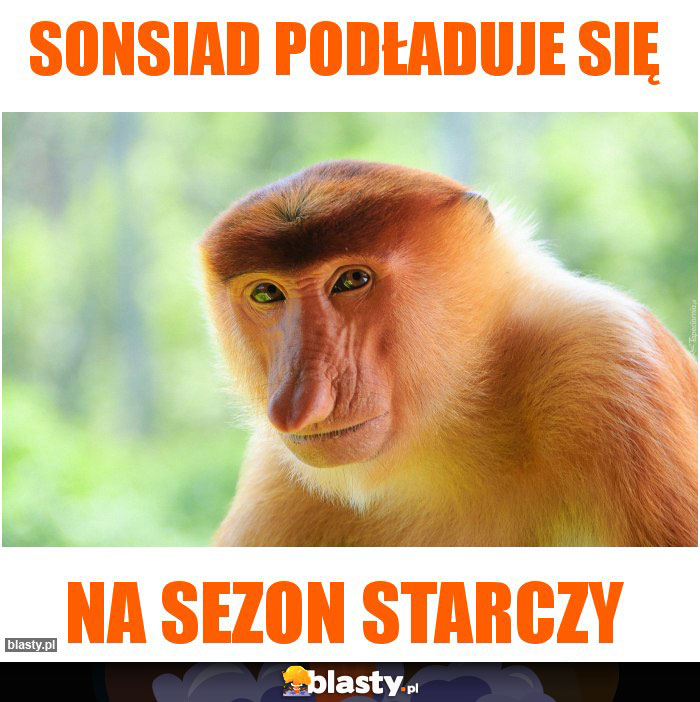 Sonsiad podładuje się