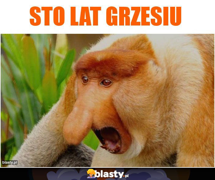 STO LAT GRZESIU
