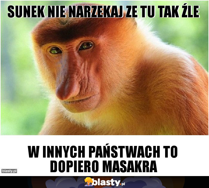 Sunek nie narzekaj ze tu tak źle