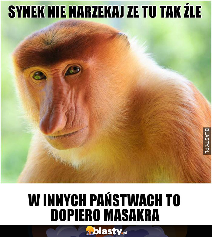 Synek nie narzekaj ze tu tak źle