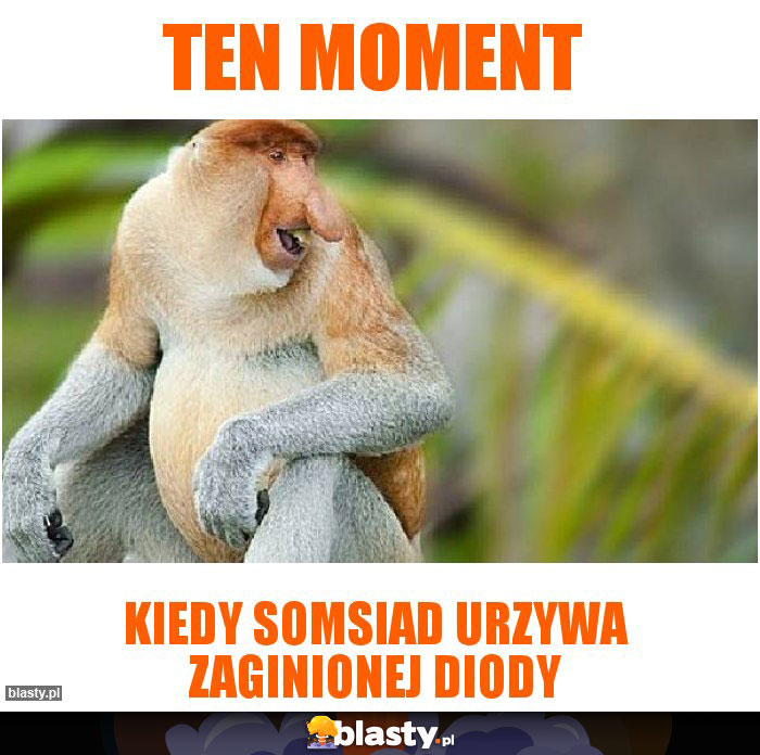 TEN MOMENT