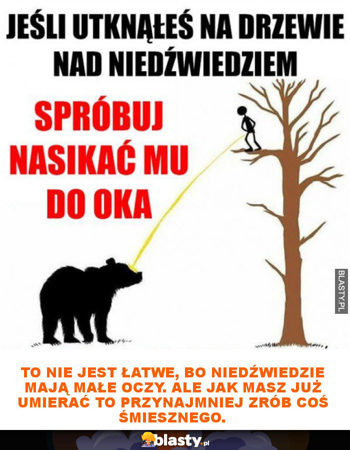 To nie jest łatwe, bo niedźwiedzie mają małe oczy. Ale jak masz już umierać to przynajmniej zrób coś śmiesznego.