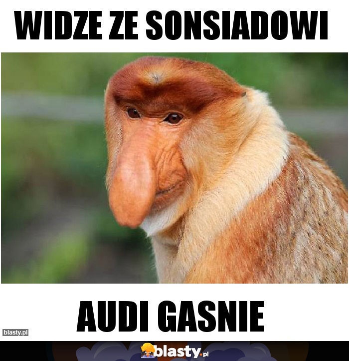 Widze ze sonsiadowi