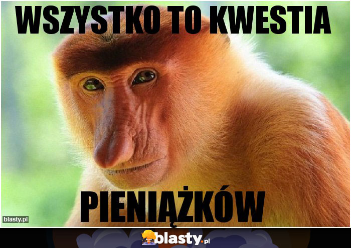 wszystko to kwestia