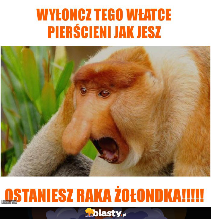 wyłoncz tego włatce pierścieni jak jesz