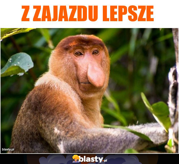 Z zajazdu lepsze