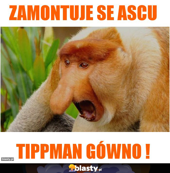 Zamontuje se ASCU