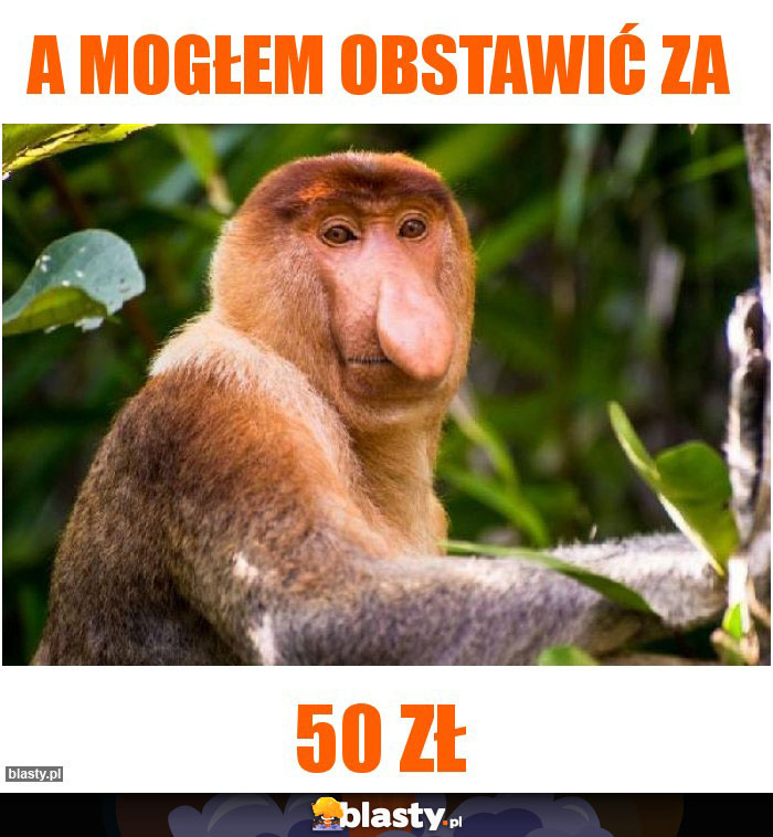 A mogłem obstawić za