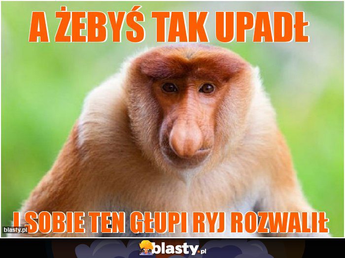 A żebyś tak upadł
