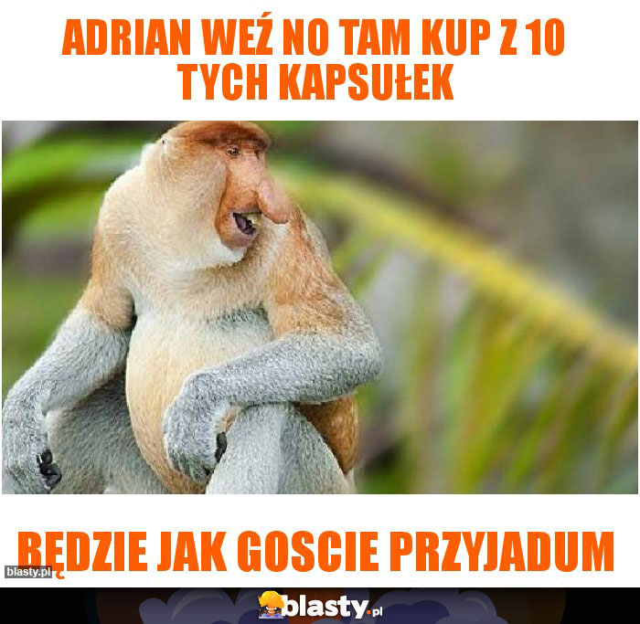 Adrian weź no tam kup z 10 tych kapsułek